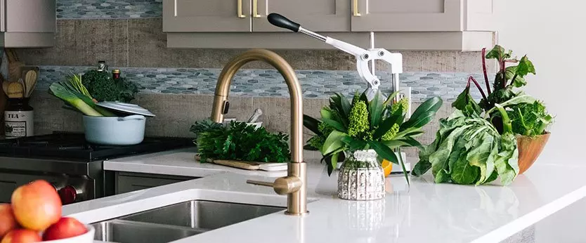 Venta de plantas interiores y exteriores